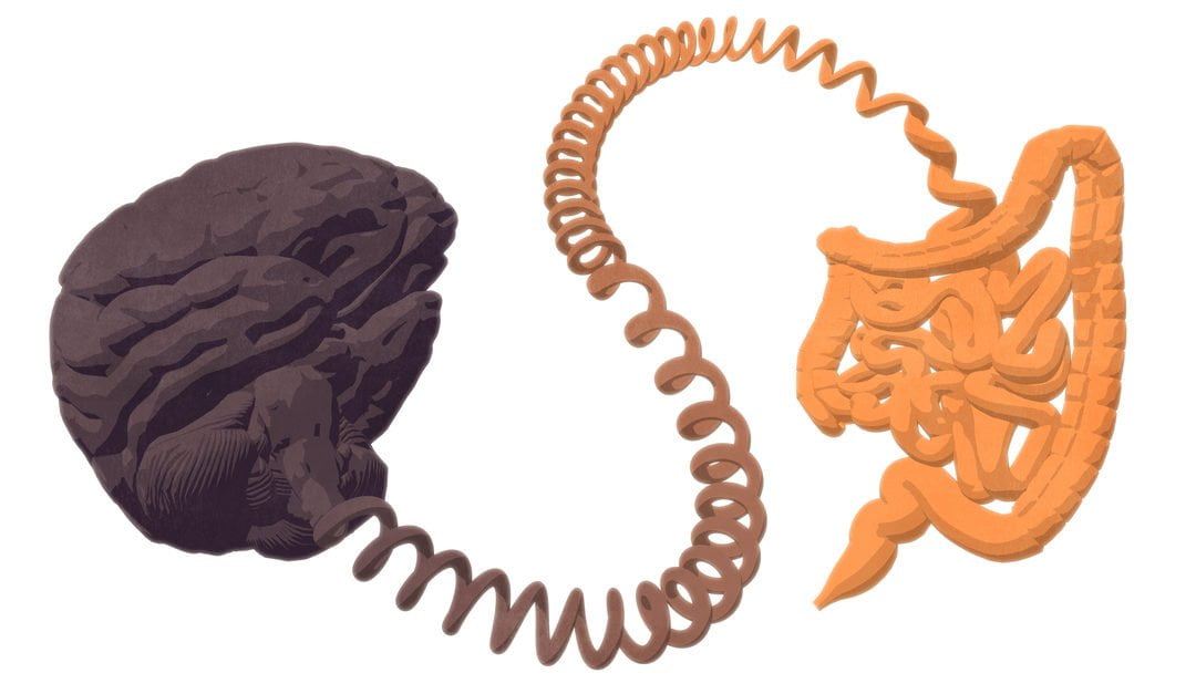 Gut Anxiety?