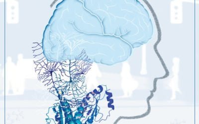 International Meeting for Autism Research 2012 – Day 3