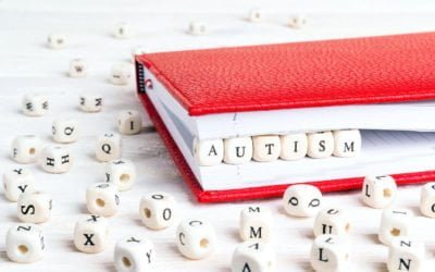 Book Review – Ido in Autismland