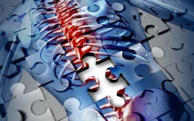 Cranial, Sacral, Vagal and other Pathway Therapies for Autism