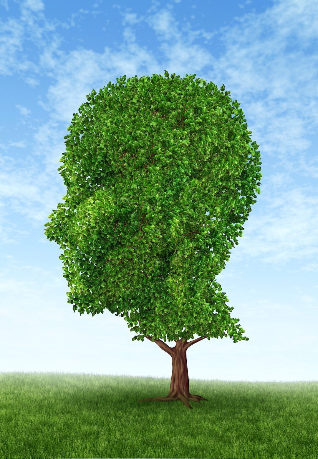 Chelation Therapy for Autism