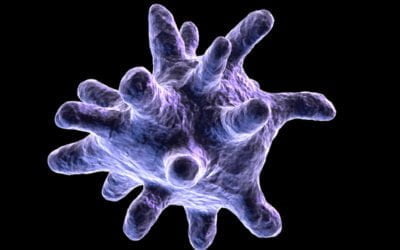 GcMAF Autism Treatment Update