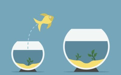 High vs. Low Functioning Autism