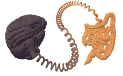 …and the Brain Bone is STILL Connected to the Bowel Bone